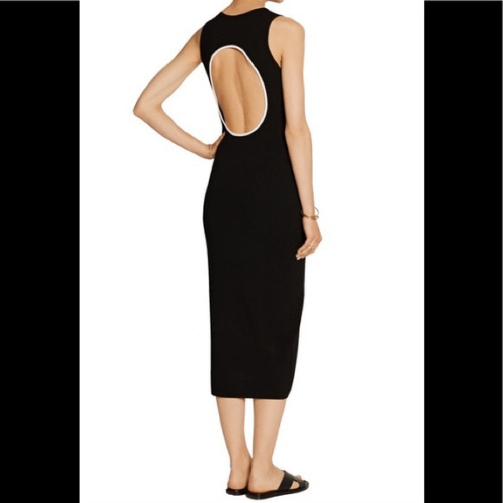 Theory Vysa Prosecco Open Back Dress (Size Small)